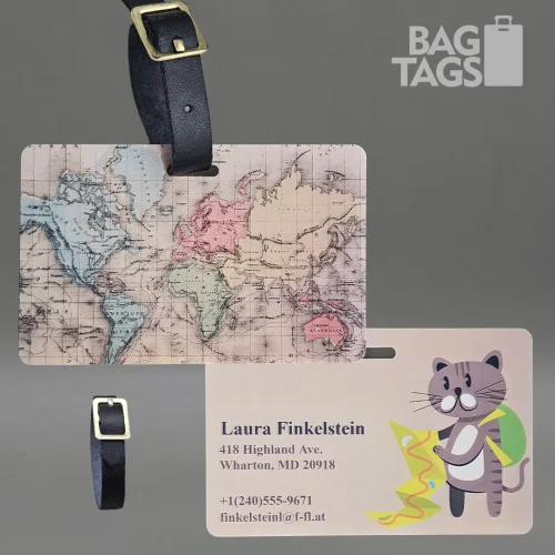 cat traveler - buckle